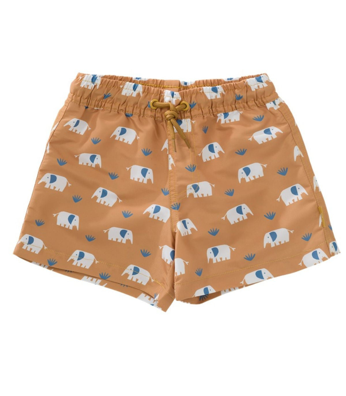 Boxer mare Fresk