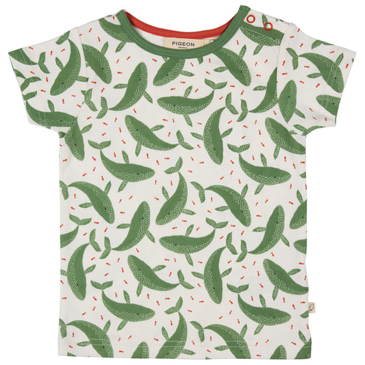 T-shirt PIGEON - WHALES