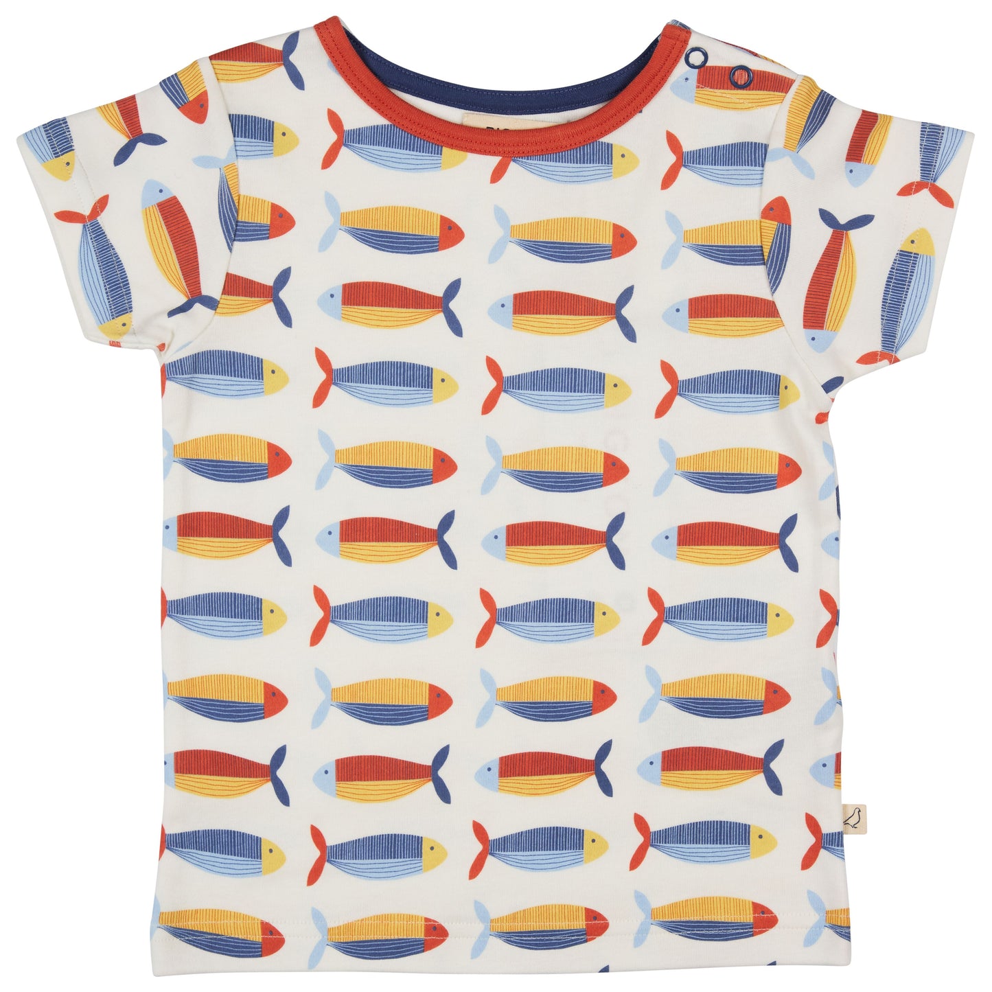 T-shirt PIGEON - SARDINES