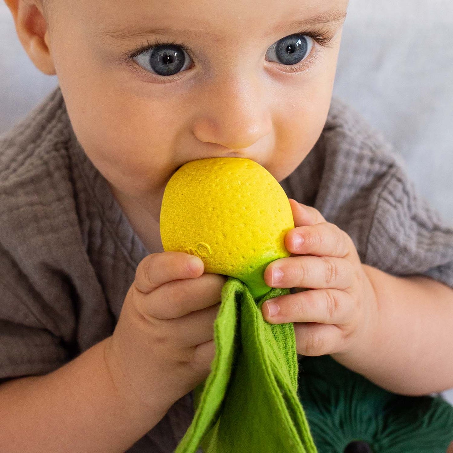 Limone dentizione