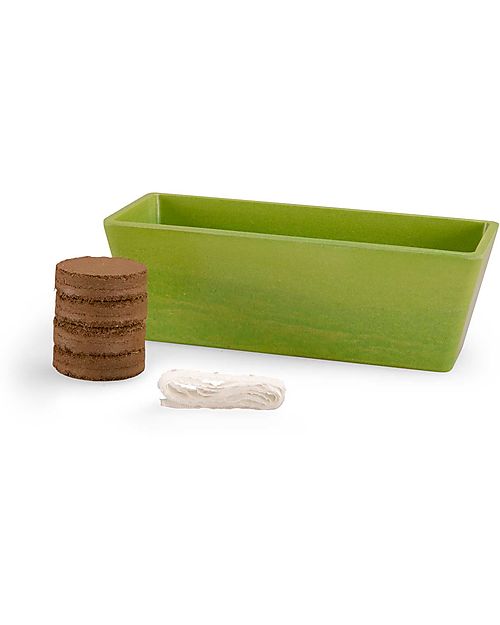 Kit coltivazione Moulin Roty