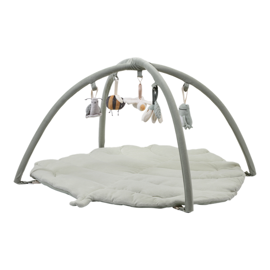 Palestrina Little Dutch