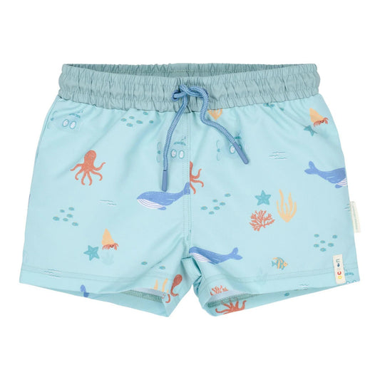 Boxer mare Little Dutch - Ocean Friends