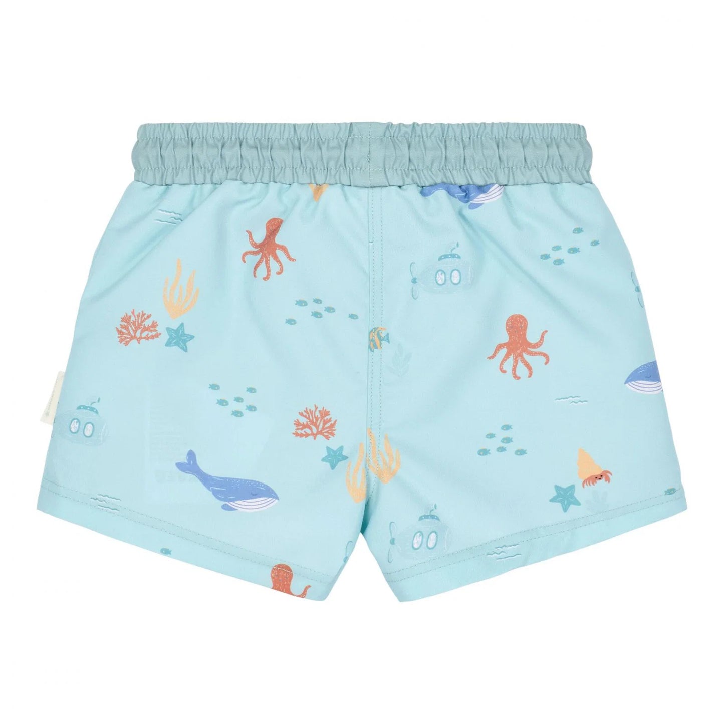Boxer mare Little Dutch - Ocean Friends