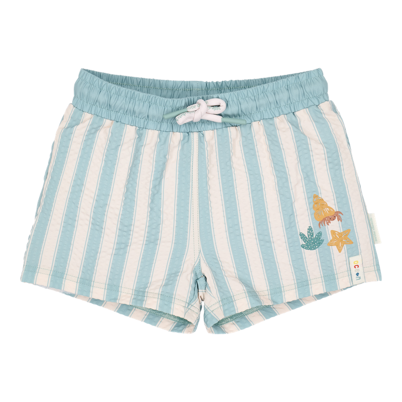 Boxer mare Little Dutch - Stripes