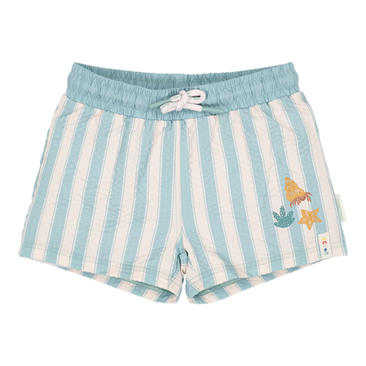Boxer mare Little Dutch - Stripes