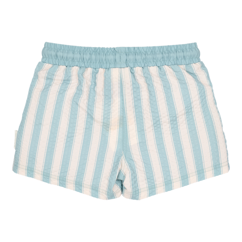 Boxer mare Little Dutch - Stripes