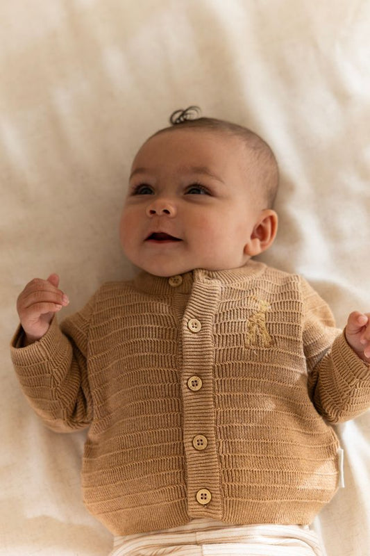 Cardigan lavorato a maglia Little Dutch