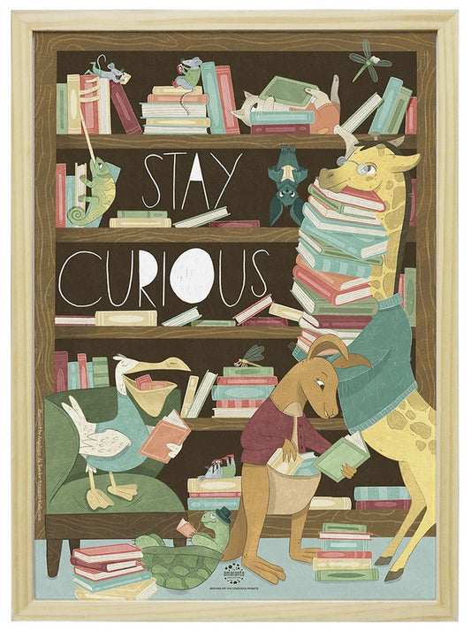 Stay Curious Amaranto Collection